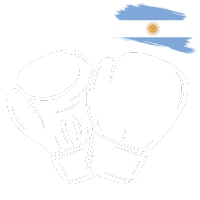 Boxeo Icono